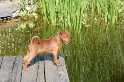 1012309_4276131600342_426669141_n