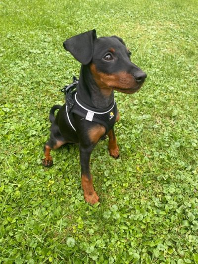 2e34d31b-35ba-41f9-86f9-f483ad743596