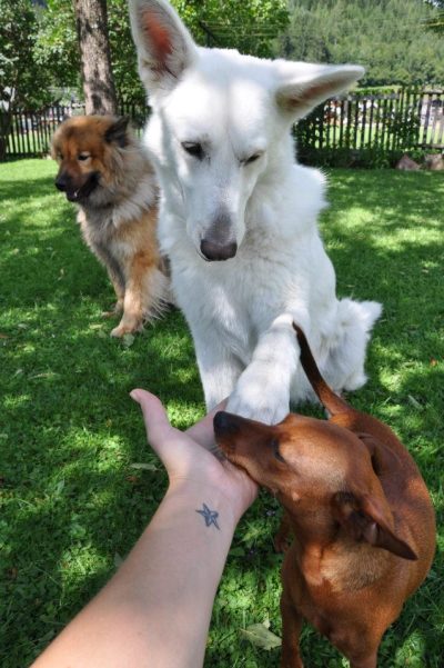 383950_169612549813710_169442523164046_279058_1842107726_n