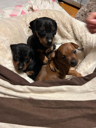 5d184aa7-711c-4174-b658-c4b821c84cae