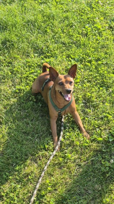 63ab76fe-20bc-42cc-92f7-962354f52445