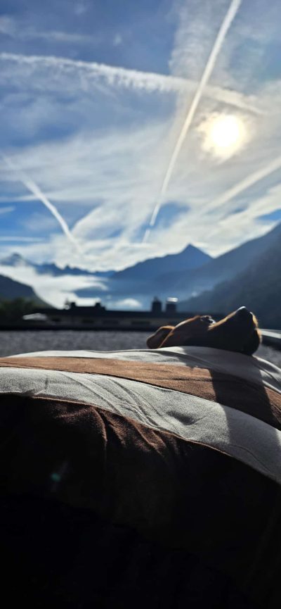 80e3949a-5c3e-488d-adba-3616465bf40d