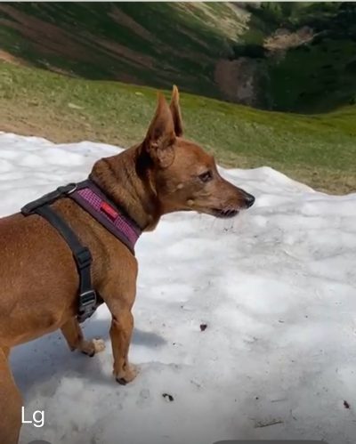 Bildschirmfoto 2025-06-20 um 18.58.15