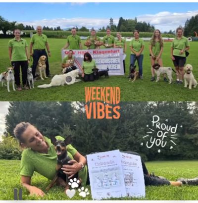 Neueste Fotos anzeigen (3)