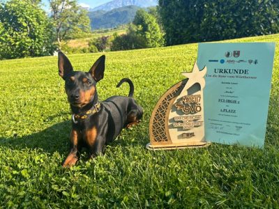 PHOTO-2025-05-10-19-09-41