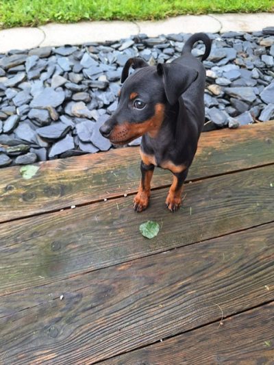 PHOTO-2025-07-17-18-59-04