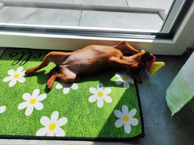 PHOTO-2025-07-17-19-45-01