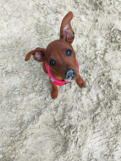 PHOTO-2025-07-30-19-33-24 (1)