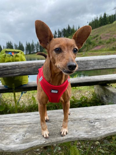 PHOTO-2025-08-04-12-12-52