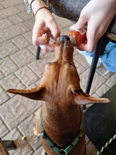 PHOTO-2025-08-07-11-09-14