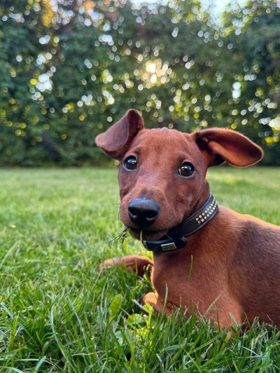 PHOTO-2025-08-08-19-01-24