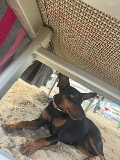 PHOTO-2025-08-22-17-52-31