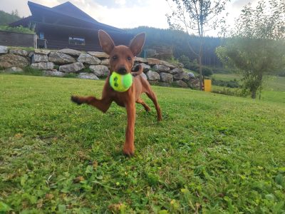 PHOTO-2025-08-25-12-01-22