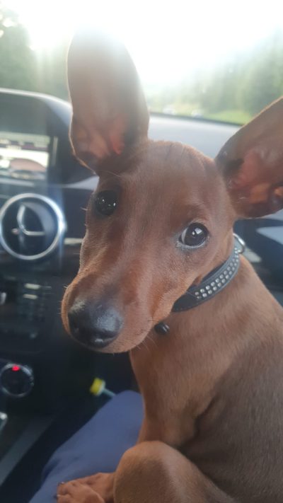 PHOTO-2025-08-25-19-37-21