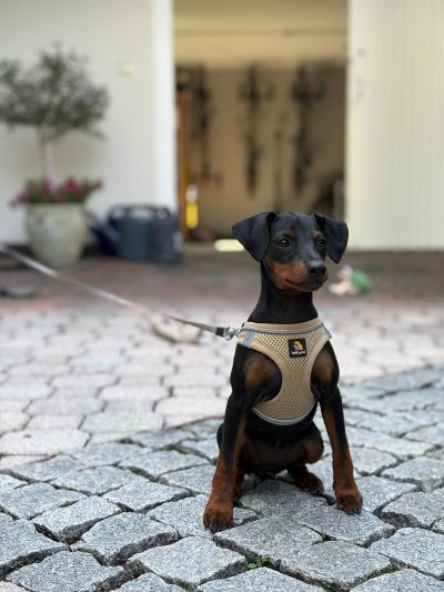 PHOTO-2025-08-25-19-45-26