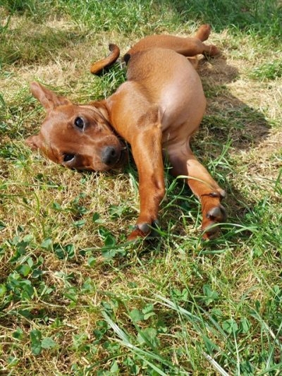 PHOTO-2025-08-26-09-53-19 (1)