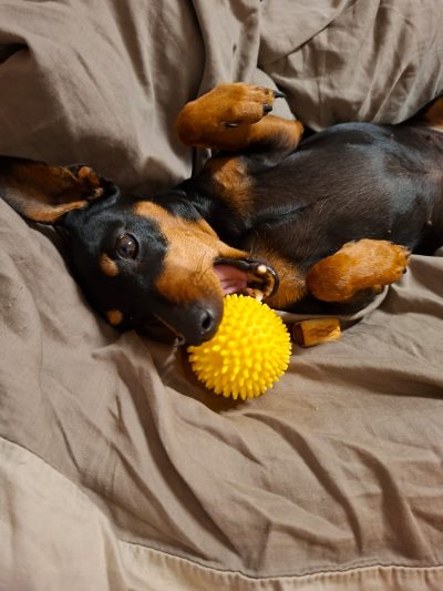 PHOTO-2025-08-30-22-59-56