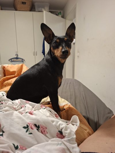 PHOTO-2025-10-07-19-52-25