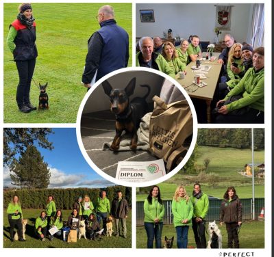 PHOTO-2025-10-11-11-03-45