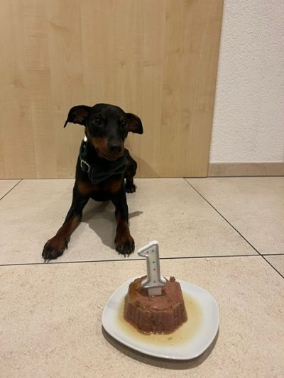 PHOTO-2025-10-22-18-45-26