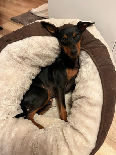 PHOTO-2025-11-07-08-36-26 (1)