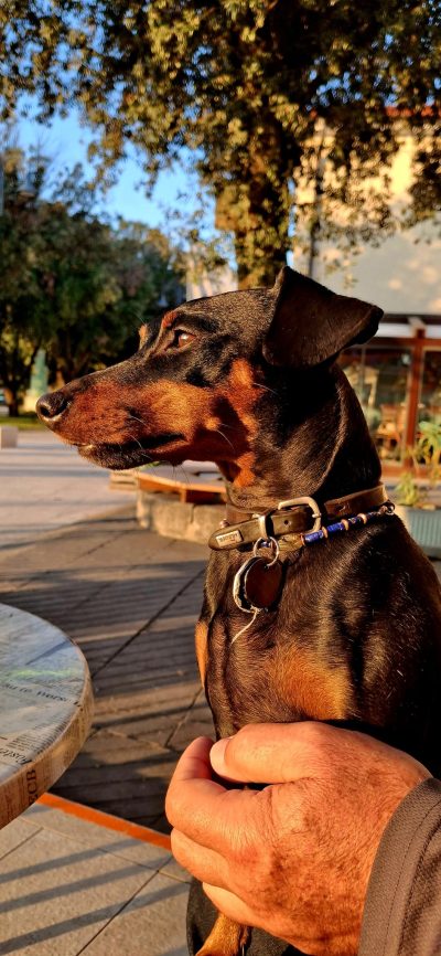 PHOTO-2025-12-09-15-47-56 (3)