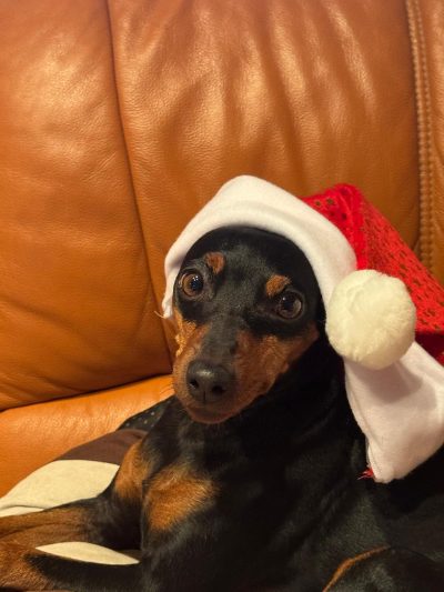 PHOTO-2025-12-24-09-58-55