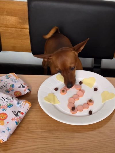 a18496e9-8391-4b07-b96f-458b1a42d33f