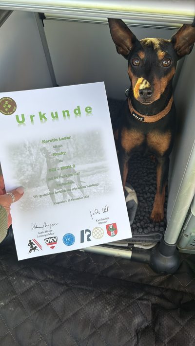 af71b6e2-c1f6-4e95-a1d6-636ba4d94fe2