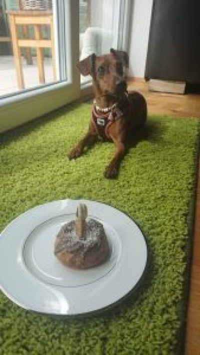 angelina-2021-05-06-13-00-02-169x300