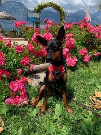 antonia_2351-225x300