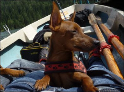 b04a2919f3a0fb08110 (1)