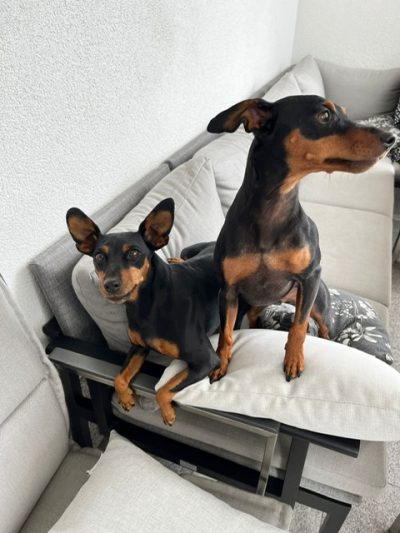 b3824eca-c4ac-4748-a7bf-a64dee6c9ec2