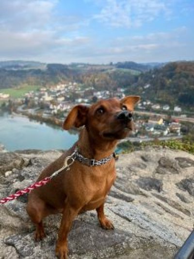 benji-wilbur-2021-10-26-17-46-14-225x300