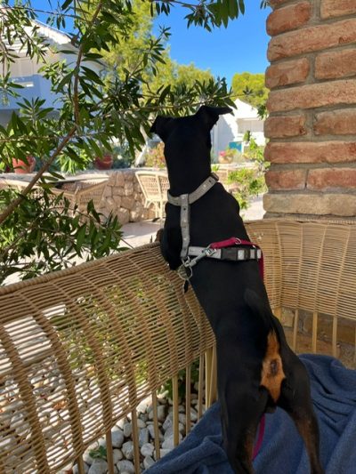 cacb1a44-4a52-49c5-a92f-5c81002c410a