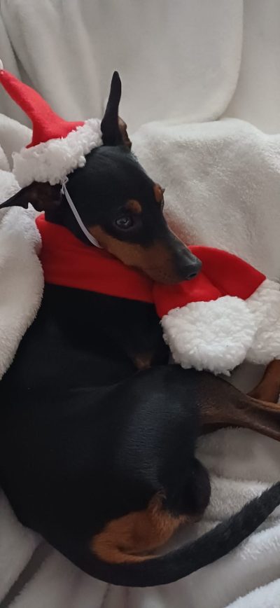 eaa48de6-45d5-46c8-85b0-54b9158beec6