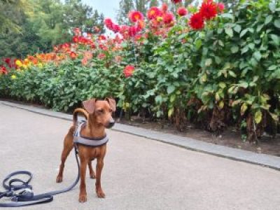 emil-2021-10-24-22-05-23-300x225