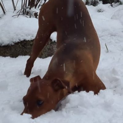 emil-2021-12-11-21-43-43-370x370