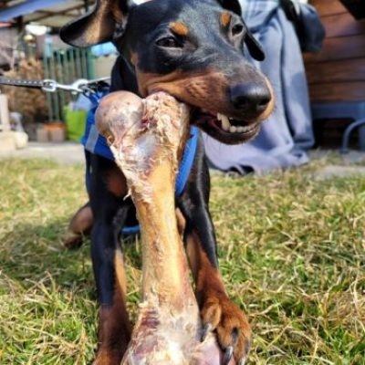 ferrante-2022-03-01-07-20-50-1-370x370