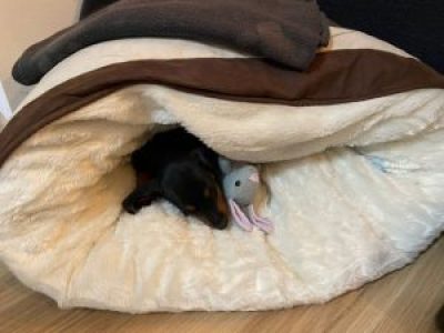 filipe-2021-10-13-18-56-36-300x225