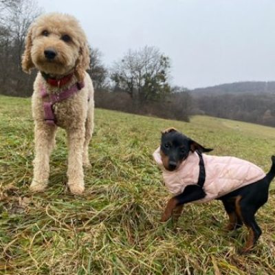 florine-2021-12-05-23-52-52-370x370