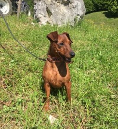 frida_6185-1-274x300