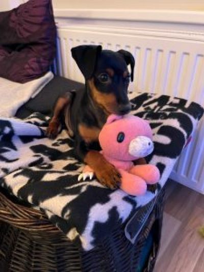 fynn-2021-11-12-07-59-46-1-225x300