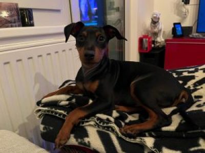 fynn-2021-12-11-14-48-02-1-300x225