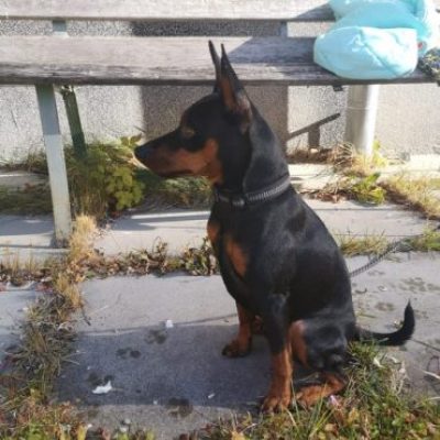 guy0e-c5c1-4bb0-b065-ee2b7c9c59d0-370x370