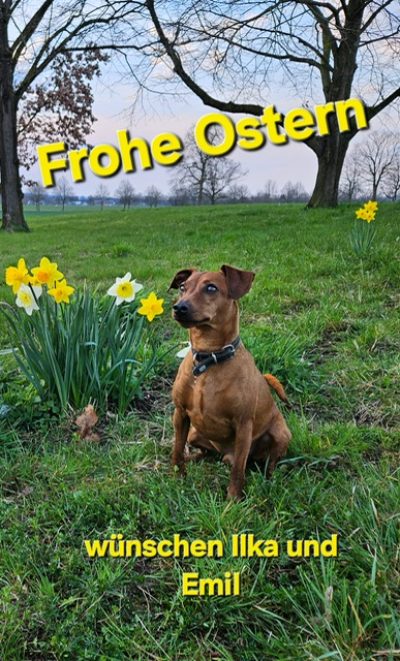 homepage-2024-03-30-20-25-53