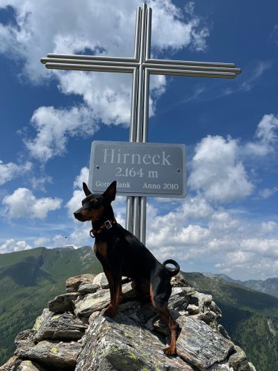 homepage rocky-2024-07-16-20-04-23