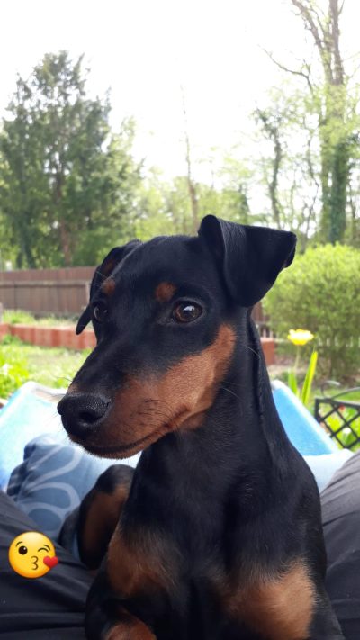 homepage2023-04-23-12-44-48