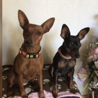 jooles-u.-hip-hop-370x370