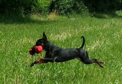 miss moneypenny8_130538-1-1